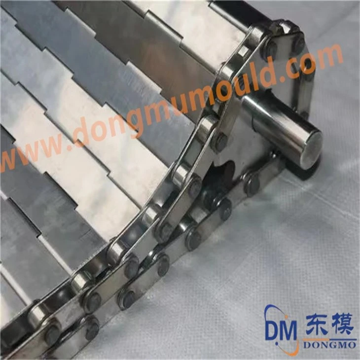 Conveyor Chain Plate Mold